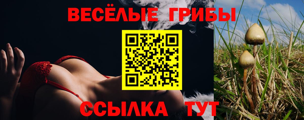 Псилоцибиновые грибы ЛСД  Галлюциногенные грибы Psilocybine cubensis  Вход с VPN  Ивантеевка 